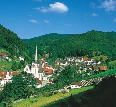 Flair Hotel Adlerbad Бад-Петерсталь-Грисбах Экстерьер фото